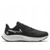 Chaussures Nike Mâle Air Pegasus 001DC4073