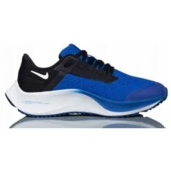 Chaussures Nike Pegasus CZ4178411